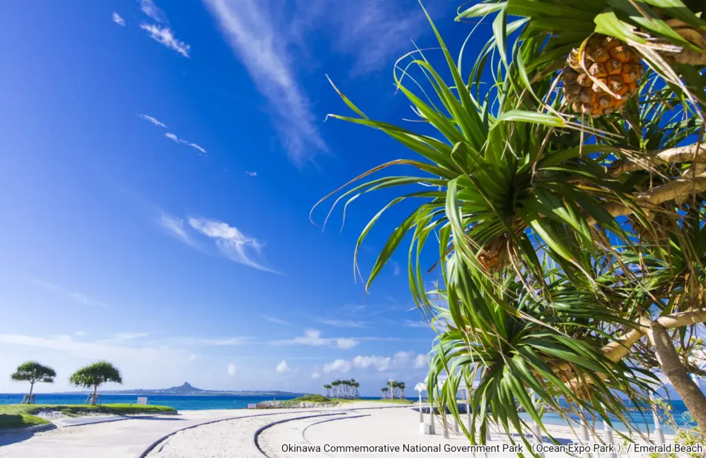 Emerald Beach