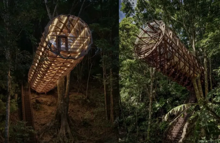 Treeful Treehouse Sustainable Resort