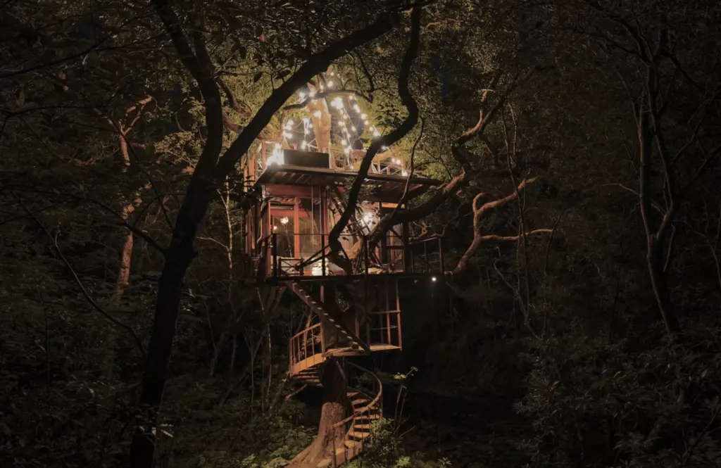 Treeful Treehouse Sustainable Resort