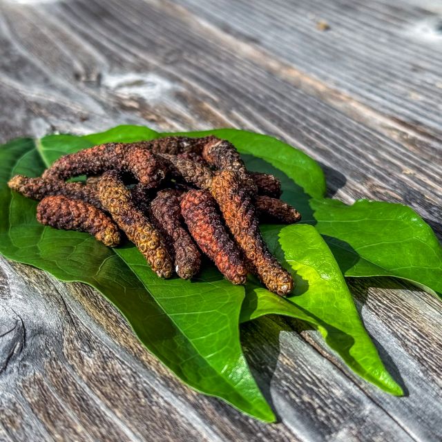 Okinawa Long Pepper🌶️, also known as Hihatsu, is a beloved spice throughout Okinawa prefecture, particularly in the Yaeyama Islands, including Ishigaki Island!

This pepper has a distinctive flavor that enhances local favorites like Okinawa Soba🍜 and Chanpuru. Be sure to try it at restaurants on Ishigaki Island or take some home to give your favorite dishes and cooking a flavor boost✨

#Okinawa #Okinawaprefecture #Visitokinawa #Exploreokinawa #Okinawacuisine #Okinawalocalcuisine #Okinawaspice #Okinawalocalspice #Foodie #Hihatsu