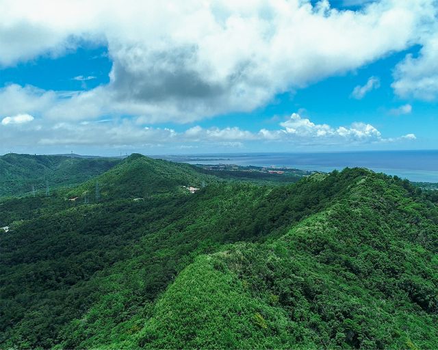 Discover the stunning nature of Yanbaru's forests in northern Okinawa🌿 

Registered as a Natural Heritage Site in 2021, these subtropical forests are home to rare and endemic species, making them essential for conservation🌏 While exploring Yanbaru, don’t miss the breathtaking Hiji Falls, where you can immerse yourself in the beauty and tranquility of Okinawa’s lush green surroundings🌳 

#Okinawa #Okinawaprefecture #Visitokinawa #Exploreokinawa #Okinawanature #Yanbaru #Okinawanaturalheritage #HijiWaterfall #hijifalls #hijiotakifalls #falls #waterfall