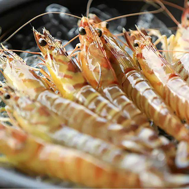 Did you know Okinawa is Japan's top producer of kuruma shrimps? 🦐🌊

Kume Island leads with its pure, mineral-rich deep-sea water, creating a perfect, bacteria-free environment for shrimp farming! Research is also underway to use this method for sea grapes and oysters, aiming for even higher food safety🦪✨

Kuruma shrimps are in season from late October, so don’t miss the chance to enjoy this fresh island delicacy!😋

We have one more post about an area near Kume Island so stay tuned! ✨

#Okinawa #Okinawaprefecture #Visitokinawa #Exploreokinawa #Okinawaisland #Okinawadelicacy #Okinawaseafood #Okinawakurumashrimp