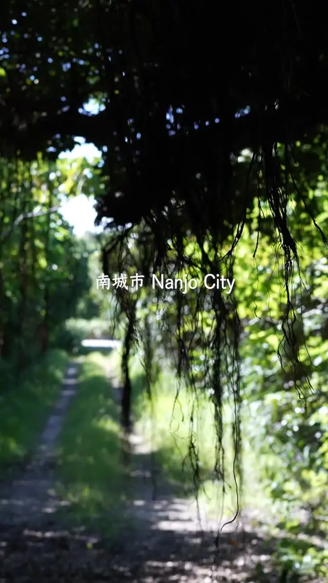 想不想來沖繩縣南城市這個充滿絕景與療癒氛圍的地方，好好享受一下呢❓
這裡不只有超美的景觀咖啡廳，還有搭船15分鐘就能抵達的「久高島」、以天婦羅聞名的「奧武島」，以及號稱全日本最大級的鐘乳石洞「沖繩世界」，是一個魅力滿滿的區域✨
從那霸機場開車大約30分鐘就能抵達，不管是旅程的第一天還是最後一天，來這裡走走都超適合喔！🚗

#南城市 #久高島 #奧武島 #沖繩世界 #沖縄旅行 #沖繩自由行 #沖繩觀光 #沖繩旅遊 #沖繩旅行指南 #日本旅遊 #深度旅遊 #深度遊 #沖繩景點推薦 #沖繩美景 #IG景點推薦 #打卡景點 #VisitOkinawa #OkinawaTrip #Okinawa #Japan