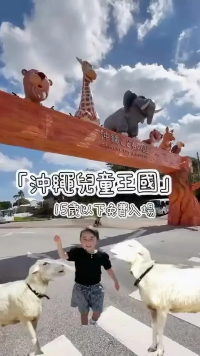 梅雨季後，夏天想去的地方「沖繩兒童王國」🦁
可以接觸大約150種的動物，還有親自餵食、騎馬等各式各樣的充實活動🐴
室內的神奇博物館也有親自動手學習方面的展示品，以及手工藝課程可以參加🔍
今年夏天來沖繩兒童王國，一次體驗動物、大自然及學習的樂趣🏝️

@haileysimsim 謝謝你提供這麼棒的影片！

#沖繩兒童王國 #沖縄こどもの国 #日本自駕遊 #沖繩景點推薦 #沖繩景點 #沖縄 #沖縄旅行 #沖繩自由行 #沖繩觀光 #VisitOkinawa #OkinawaTrip #Okinawa #Japan #Zoo #Nightzoo #Museum #OkinawaZooAndMuseum #familytrip