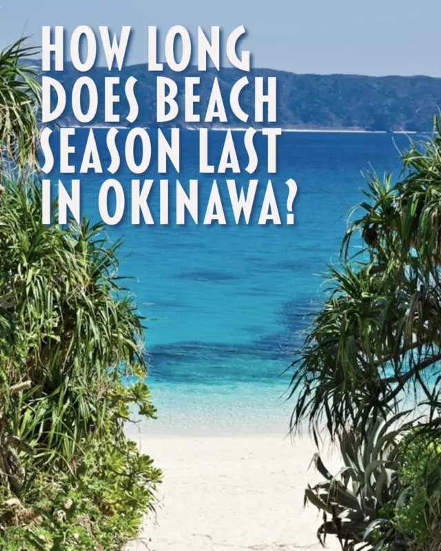 In Okinawa, beach season is from March to October, with clear blue seas and endless swimming fun. Even outside this season, you can still dive and enjoy other marine adventures with local operators, thanks to the warm weather and fewer crowds. 
Actually, October is one of Okinawa’s best-kept secrets for swimming!
Check our bio for all the details on the best beaches for swimming 🌊☀️
🔗https://visitokinawajapan.com/discover/beach-information/