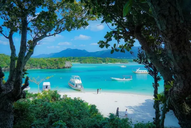 Kabira Bay𓇼🐚 is one of Ishigaki’s most breathtaking sights—where brilliant shades of blue and green stretch across the water in a picture-perfect scene🖼️ 

📍 Kabira Bay, Ishigaki Island

While swimming isn’t allowed due to strong currents, the bay’s clear, shallow waters are best admired on a glass-bottom boat🛥️, offering a glimpse into the vibrant marine life below. Depending on the time of day or weather, the scenery shifts, making every visit feel new✨

📸Photo by @3r1hs
Have your own Okinawa memories to share? Tag your post with both #visitokinawajapan and #beokinawa for a chance to be featured next!

#Okinawa #Okinawaprefecture #Visitokinawa #Visitokinawajapan #Exploreokinawa #Discoverokinawa #Traveltips #Japantraveltips #Okinawatraveltips #Okinawasggo #Kabirabay #Okinawabay #Okinawaisland #Richnature #Okinawarichnature #Clearwater #Okinawaclearwater #Glassboat #Okinawaglassboat #Scenery #Japanscenery #Okinawascenery #Naturescenery #Marinelife #Marinescenery #Beautifulscenery #Picturesque #Beautifulokinawa