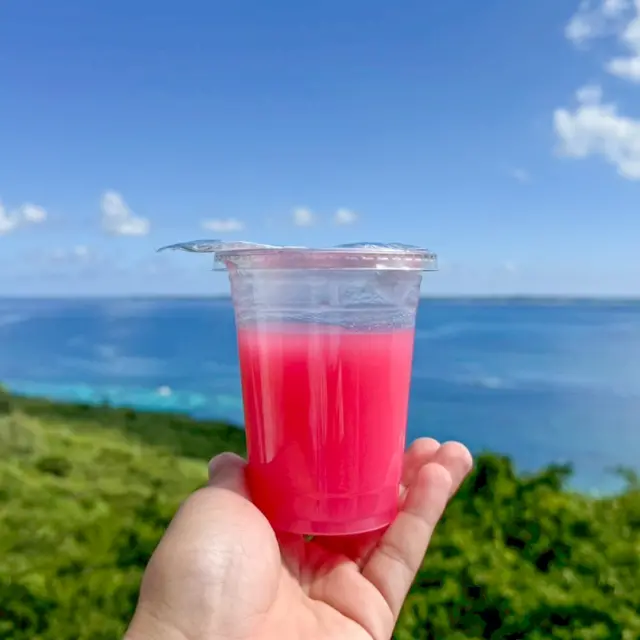 What’s this bright pink drink?🥤🩷
Looks like a tropical smoothie… but it’s not!
This local find from Irabu Island is made from brown rice, a drinkable, mochi-like treat called Pink Brown Rice😮 Scoop it up with a spoon and you’ll feel its soft, jelly-like texture. The taste? Gentle and mildly sweet, more like rice porridge than a dessert 😋
It’s an ultra-local surprise you’ll only find around Miyako and Irabu Islands, a nostalgic island creation that’s as unique as it looks. If you ever visit the islands, don’t miss your chance to try this super local pink delight⭐
#Okinawa #Okinawaprefecture #Visitokinawa #Visitokinawajapan #Beokinawa #Exploreokinawa #Discoverokinawa #Traveltips #Japantraveltips #Okinawalovers #Okinawasggo #Okinawalocaldrink #Localdrink #Localfoodanddrink #Foodanddrink #Japanfoodie #Okinawafoodie #Okinawabrownrice #Brownricedrink #Uniquedrink #Uniquelocaldrink #Pink #Pinkdrink #Okinawalocal #Miyakoislands #Irabuislands #Miyakojima #Irabujima #Pinkbrownrice #Drinkpink