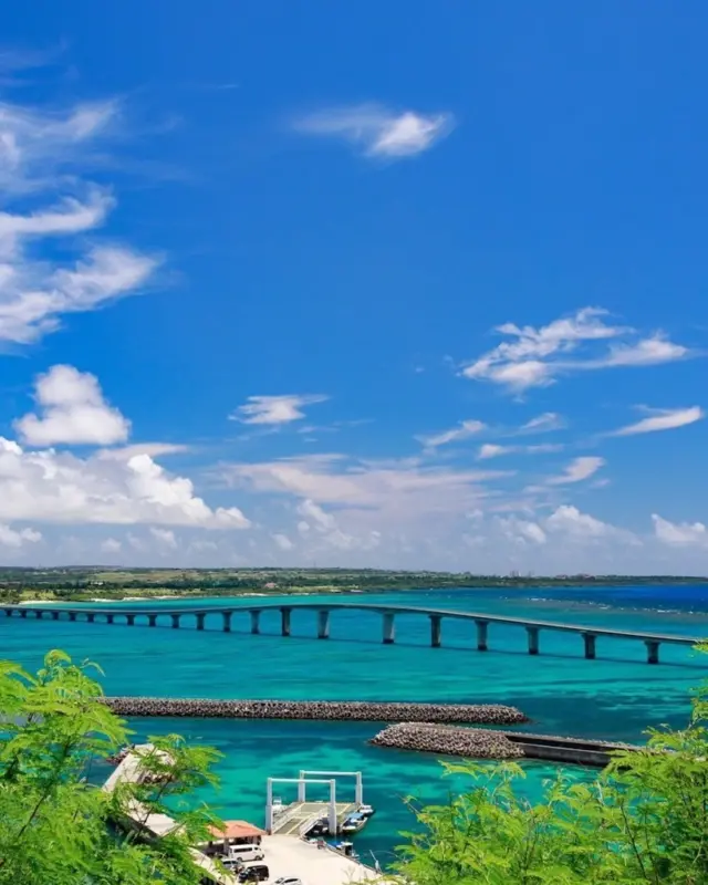 A bridge that connects one journey to the next. Ready to cross the shimmering Miyako Blue and feel the island breeze on your face?
📍 Kurima Bridge, Miyako Island
Stretching 1,690m across the sea, this bridge offers endless views of turquoise waters and soft white sands—the very essence of island serenity.
How would you cross it—by car, bike, or on foot? 
📸 Photo by @natsue.710
Have your own Okinawa memories to share?
Tag your post with both #visitokinawajapan and #beokinawa for a chance to be featured next!
#Okinawa #Okinawaprefecture #Visitokinawa #Exploreokinawa #Discoverokinawa #Miyakoblue #Miyakoscenery #Okinawabeach #Relaxingokinawa #Okinawarelaxation #Okinawanature #Natureokinawa #Naturelover #Escape  #Miyakoisland #Bridge #Japanbridge #Okinawabridge #Scenery #Okinawascenery #Beautifulscenery #Miyakobluescenery #Bridgelovers #Bridgesceneries #Naturescenery #Okinawanature #Beautifulokinawa #Okinawatravel