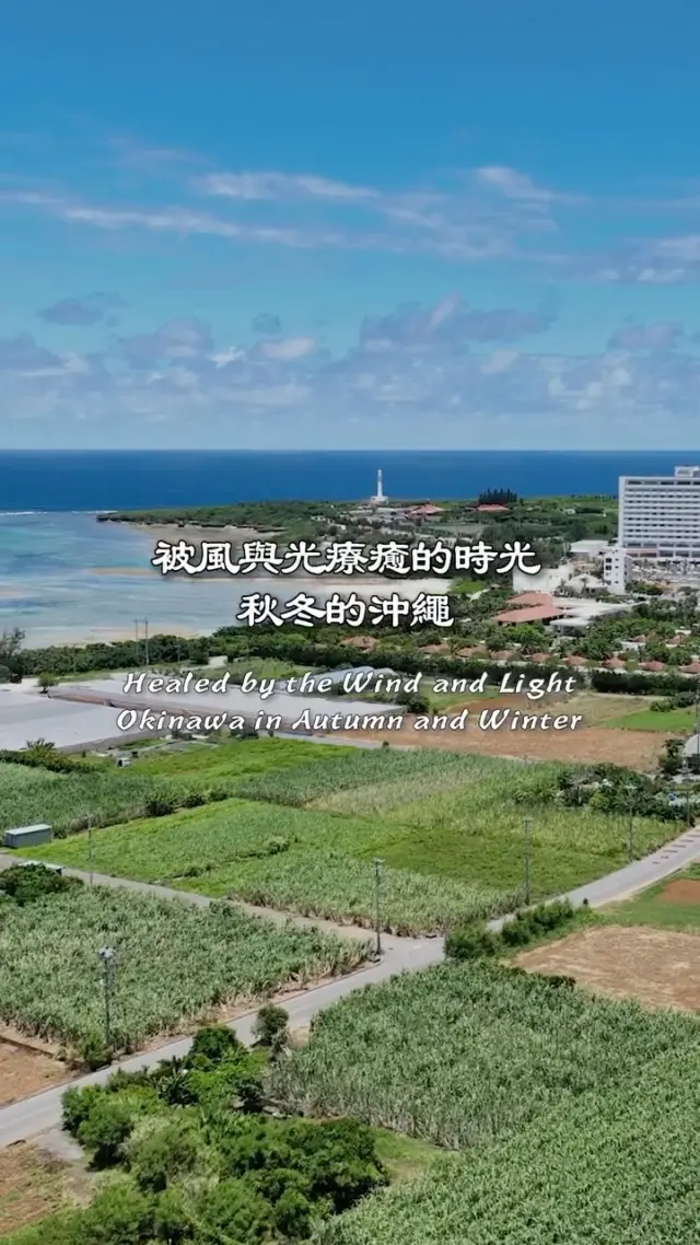 🌿被風與光療癒的沖繩時光🌊
從秋天到冬季的沖繩，是被靜謐包圍的特別季節。

一邊開車看海放鬆心情，或是在綠意盎然的林蔭道上靜靜散步…🍃�將自己交給大自然的時間，能讓心慢慢舒展。

要不要來感受不只觀光景點的溫柔沖繩呢？🌺

#熱帶海島 #沖繩景點 #沖繩美景 #沖繩景點推薦 #IG景點推薦 #沖縄 #沖縄旅行 #沖繩自由行 #沖繩旅遊 #沖繩觀光 #沖繩療癒之旅 #VisitOkinawa #OkinawaTrip #OkinawaHealing #Okinawa #Japan #beachlove  #okinawanature #niraikanai橋 #warumi橋