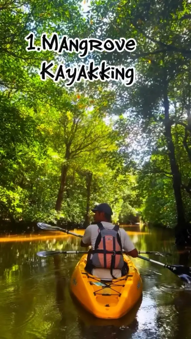 ✨冬天更該去！八重山群島之旅🌴
即使在冬天也依然溫暖舒適的八重山群島🏝
以石垣島為據點，造訪「竹富島」或「西表島」等充滿個性的離島之旅正夯🚤

冬季限定的清澈星空與高透明度的美麗海洋，更添魅力🌌。
漫步在紅瓦屋頂的街景中，欣賞水牛車緩緩前行的風光，
一起悠閒享受屬於島嶼的慢時光吧✨

@yan_on_the_road 謝謝你提供這麼棒的影片！

#八重山諸島 #八重山巡禮 #石垣島 #竹富島 #西表島 #沖繩離島 #沖繩秘境 #沖繩藍 #離島旅遊 #沖繩景點 #沖繩美景 #沖繩景點推薦 #IG景點推薦 #沖繩自由行 #沖繩觀光 #島旅 #冬季旅遊 #島巡り #沖繩海島 #VisitOkinawa #OkinawaTrip #Okinawa #Japan #beachlove #OkinawaIslands #IshigakiIsland #TaketomiIsland