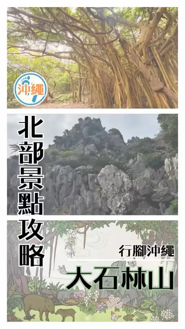 🌿走進神話之森的旅程✨
前往位於山原最北端的神秘景點⛰️
在奇岩連綿的大自然中，感受琉球神話的傳說與靈性的氛圍✨

透過語音導覽與博物館，更能深入了解在地文化。
在這座兼具療癒與啟發的森林裡，讓心靈深深地呼吸吧🍃

@footprintokinawa 謝謝你提供這麼棒的影片！

#大石林山 #沖繩北部 #沖繩景點推薦 #沖繩景點 #沖繩自由行 #沖繩觀光 #沖繩旅遊 #沖繩神話 #沖繩自然 #沖繩森林 #沖繩秘境 #家族旅遊 #asmui #VisitOkinawa #OkinawaTrip #Okinawa #Japan