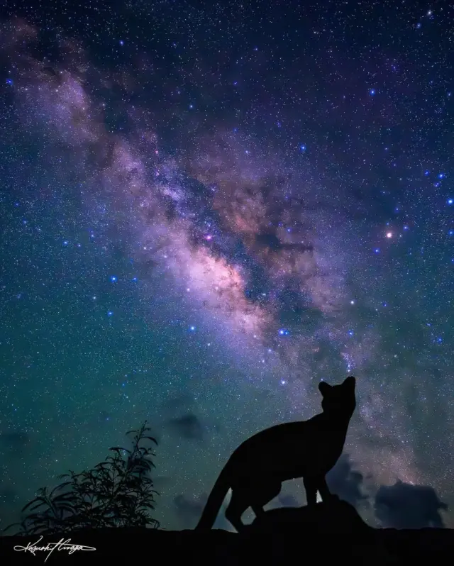 On Iriomote Island, nighttime becomes an experience shaped by darkness, stars, and sound🌌 After sunset, the island quickly grows quiet and dark, with very few streetlights, letting the night sky take center stage🤩

📍 Iriomote Island

Recognized as a Dark Sky Sanctuary, Iriomote offers clear nights where countless stars, even the Milky Way, can be seen with the naked eye😮💫 As the light fades, your senses sharpen: waves sound closer, the wind more present, and insects begin their nighttime chorus. Along forest paths and quiet roads, you may even sense wildlife nearby.

With so little artificial light, nature feels closer than ever. Here, simply looking up becomes a moment you won’t forget✨

📸 Photo by @story_kazu.hiraga
When you need to reset, do you prefer moving through nature or staying still beside it?

Tag your Okinawa moments with #visitokinawajapan and #beokinawa for a chance to be featured!

#Okinawa #Okinawaprefecture #Visitokinawa #Exploreokinawa #Discoverokinawa #Traveltips #Okinawasggo #Okinawanight #Nightokinawa #Nightlovers #Starrysky #Nightscenery #Starscenery #Beautifulsky #Skyscenery #Scenerylovers #Nighttimescenery #Sceneryatnight #Milkyway #Milkywayscenery #Starrynight #Nightsky #Starsky