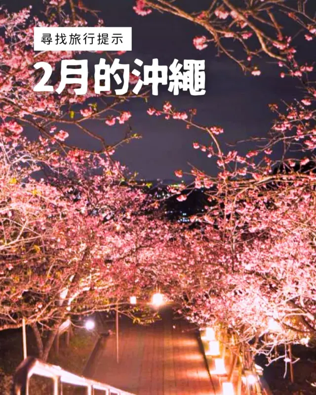 🌸被暖暖陽光包圍的 2 月沖繩🌿
2 月的沖繩，只有這個時期才能體驗的活動也相當豐富！

🍊可以採收多汁椪柑的「椪柑採果」
🏺能遇見個性豐富沖繩陶器的「讀谷陶器市」
🌸一路向南綻放的本島南部櫻花也很值得一看！

用五感享受的沖繩，正在等著你🌈✈️

--------------------- 活動介紹 ---------------------

1️⃣ 八重瀨櫻花祭
行程：2026年1月29日(四)～2月8日(日)  8:30～21:00
地點：八重瀨公園（沖繩縣八重瀨町字富盛1607）
MAP CODE：232 461 262*03

2️⃣ 那霸美麗櫻花祭
行程：2026年2月21日（六）10:00～18:00
　　　2026年2月22日（日）10:00～17:00
地點：漫湖公園 小波蔵側 中央噴水廣場（沖繩縣那霸市古波蔵3-23-1）
MAP CODE：33 097 368*65

3️⃣ 讀谷陶器市
@yomitan_yachimunichi
行程：2026年2月21日(六)・22日(日) 10:00〜17:00
地點：JA yunta市場前廣場（沖繩縣讀谷村喜名2346-11）
MAP CODE：33 794 590*71

4️⃣ 伊豆味蜜柑之鄉 綜合服務中心
時間：9:00～18:00（※可協助介紹農家）
地點：沖繩縣國頭郡本部町字伊豆味2846-3
MAP CODE：206 805 695*30

#日本祭典 #沖繩景點 #沖縄 #沖縄旅行 #沖繩自由行 #沖繩觀光 #VisitOkinawa #OkinawaTrip #Okinawa #Japan ##日本祭典 #沖繩景點 #沖縄 #沖縄旅行 #沖繩自由行 #沖繩觀光 #VisitOkinawa #OkinawaTrip #Okinawa #Japan ##festivallifefestivallife