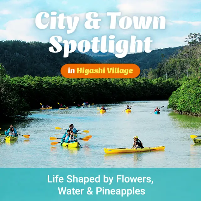 City & Town Spotlight - Higashi Village｜Life Shaped by Flowers, Water & Pineapples

Our spotlight this month shifts to a quiet village in northern Okinawa, shaped by forests, fresh water, and a slower way of living.

📍 Higashi Village

Surrounded by dense greenery and nourished by abundant water sources, Higashi Village is known as the village of flowers🌺, water, and pineapples🍍 One of Japan’s leading pineapple-producing areas, its fields, rivers, and clean air create a setting where days unfold gently, guided by nature rather than schedules. Largely untouched by mass tourism, Higashi offers a glimpse of Okinawa as it’s quietly lived🍃

In the posts ahead, we’ll explore the nature, traditions and everyday experiences that shape life here.

💬Before we head on, what kind of place helps you slow your pace?

#Okinawa #Okinawaprefecture #Visitokinawa #Visitokinawajapan #Beokinawa #Exploreokinawa #Discoverokinawa #Okinawasggo #Localvillage #Okinawalocalvillage  #Higashivillage #Okinawavillage #Hiddengem #Okinawahiddengem  #Townspotlight #Okinawahigashivillage #Pineapples #Okinawapineapples #Pineapplelovers #Localculture #Localtradition #Okinawalocallife #Greenery #Nature #Okinawagreenery #Okinawanature #Untouchednature #Naturelovers #Slowtravel #Slowpace