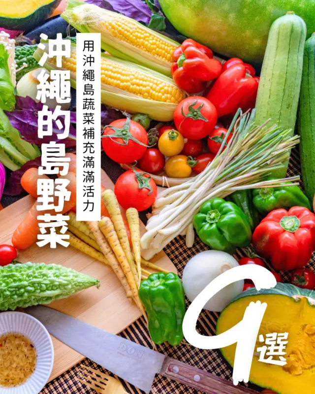 🥬用沖繩的島野菜補充滿滿元氣💪✨
富含維生素的苦瓜、紅鳳菜（ハンダマ），還有色彩鮮豔的島胡蘿蔔🥕
充分沐浴沖繩陽光長大的蔬菜，不僅營養滿分，也格外美味😋

不妨到當地市場或道之驛尋找新鮮的島野菜，親身體驗沖繩的飲食文化吧🌺
無論是料理本身還是拍照打卡，都同樣吸睛📸✨

#沖縄島野菜 #沖繩蔬菜 #島野菜 #美食推薦 #沖繩美食 #沖縄 #沖縄旅行 #沖繩自由行 #沖繩觀光 #健康食材 #VisitOkinawa #OkinawaTrip #Okinawa #Japan #Gourmets #OkinawaFood #Vegetable #OkinawaVegetables