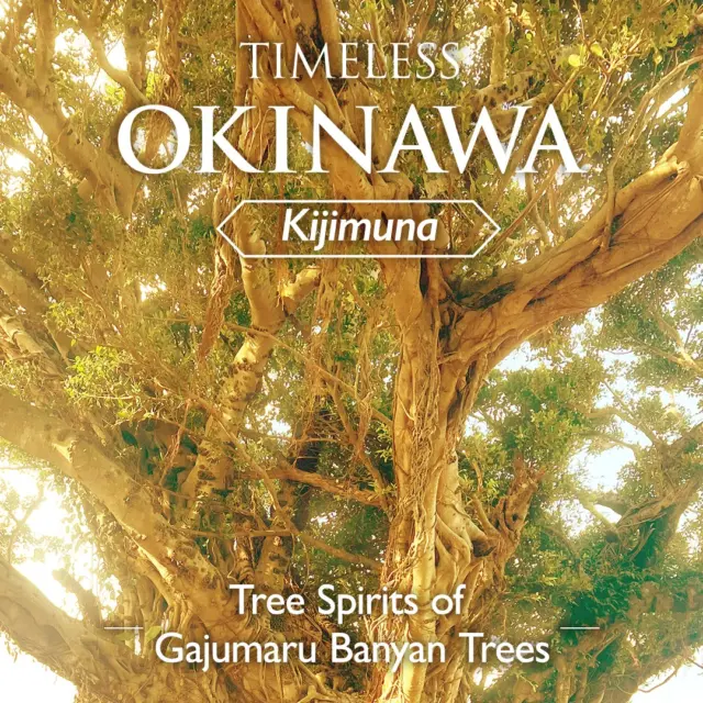 TIMELESS OKINAWA | Kijimuna — Tree Spirits of Gajumaru Banyan Trees
Have you ever heard of Kijimuna?
In Okinawan folklore, these mysterious child-like spirits are said to live within old gajumaru banyan trees, watching quietly from among the branches ✨
Some stories describe them as playful companions who help with fishing or become friends with humans. Others warn that angering them or failing to treat nature with respect may bring misfortune.
But Kijimuna are more than just legends.
In Okinawa, there has long been a belief in living alongside nature with care and respect, while remaining mindful of unseen presences that exist within it. Even today, that this way of thinking continues to quietly live on.
If you love nature, the next time you come across an old gajumaru tree in Okinawa, you may find yourself wondering whether a smiling Kijimuna could be watching quietly from among the branches 🌺
💬 Are there any legends or spirits connected to nature where you live?

#Visitokinawa #Beokinawa #Okinawastories #Timelessokinawa #Okinawaculture