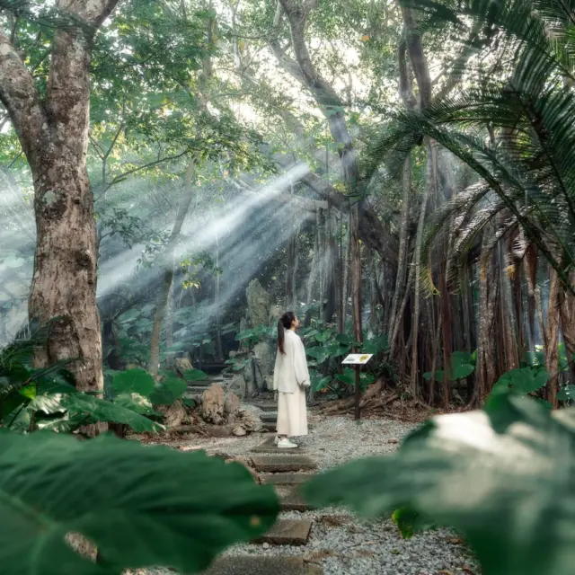 Step into the forests behind Okinawa's legends! 🌿✨

After exploring the legendary Kijimuna in our previous post, why not experience the landscapes where these stories are said to have come to life?

📍 ASMUI Spiritual Hikes, Kunigami Village

At ASMUI Spiritual Hikes, wander through lush subtropical forests, marvel at towering limestone formations, and stroll beneath majestic Gajumaru trees🌳 while learning about the nature, culture, and folklore of northern Okinawa.

With well-maintained trails and audio guides, it's an easy and enriching way to experience the beauty of Yanbaru at your own pace 🚶

💬Would you follow the trails that inspired Okinawa's legends? ✨

🌐For more information: @asmuihikes_official 

#Visitokinawa #Beokinawa #Okinawanature #Okinawaoutdoors #Outdooractivities