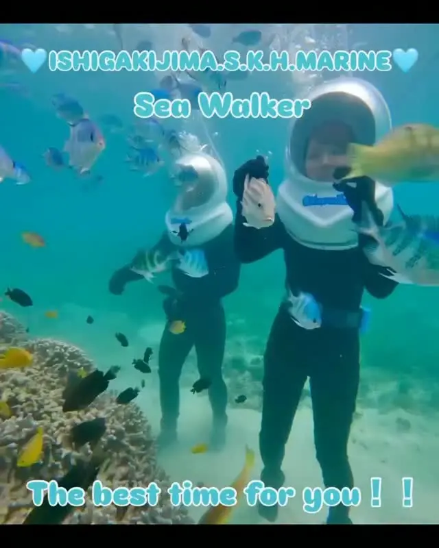 You don't have to swim to explore Okinawa's underwater world! 🥽🌊 

📍Sea Walker Experience 

Walk along the ocean floor wearing a specially designed helmet that lets you breathe naturally while keeping your face dry 🤩 It's a fun and easy way to discover Okinawa's vibrant marine life, perfect for first-time marine activity participants and anyone who isn't confident in the water⭐ 

💬Would you rather swim through the ocean or walk beneath it? 

📸Reel by @ishigakijima.s.k.h.marin 
Tag your Okinawa moments with #visitokinawajapan and #beokinawa for a chance to be featured! 

🌐For more information: @ishigakijima.s.k.h.marine

#Okinawaactivities #Marineactivities #Activitylovers