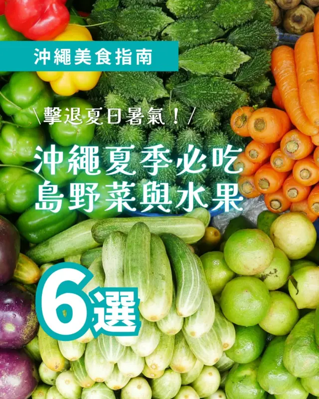 夏天去沖繩旅行，就是要靠吸滿陽光能量的「在地島野菜與水果」來擊退夏日暑氣！☀️🌿

除了無敵海景，沖繩獨特的飲食文化也是感受盛夏風情的一大重點！這次為大家整理了 6 種夏天去沖繩必吃的在地島野菜與水果圖鑑，歡迎保存參考！👇

【擊退夏日暑氣！沖繩必吃 6 種在地蔬果】

➊ 山苦瓜：沖繩蔬菜之王！微苦開胃，富含維他命 C 且快炒後養分不流失。 

➋ 海葡萄：嗶嗶啵啵爆汁口感！極度怕冷，保存千萬不能放冰箱冷藏喔！ 

➌ 島蕗蕎：伊江島優質名物！辛辣爽脆，醃漬或做天婦羅都超解膩開胃。 

➍ 青木瓜：沖繩餐桌常客！富含天然酵素助消化，也是傳統上滋補媽媽的溫和蔬菜。 

➎ 沖繩香檸：大宜味村特產！酸香提味、成熟變黃甜美，製成冰飲料超解渴。 

➏ 西印度櫻桃：維他命 C 達含量超級高！保存期限短，來沖繩一定要喝現採製成的冰果汁🍒

前往沖繩旅遊時，除了特色餐廳，亦十分推薦造訪在地的「道の駅（農產直賣所）」或傳統市場，親自感受沖繩獨特的飲食文化與風土魅力🛒✨

#沖繩旅遊 #沖繩自由行 #沖繩美食 #沖繩必吃 #沖繩特產