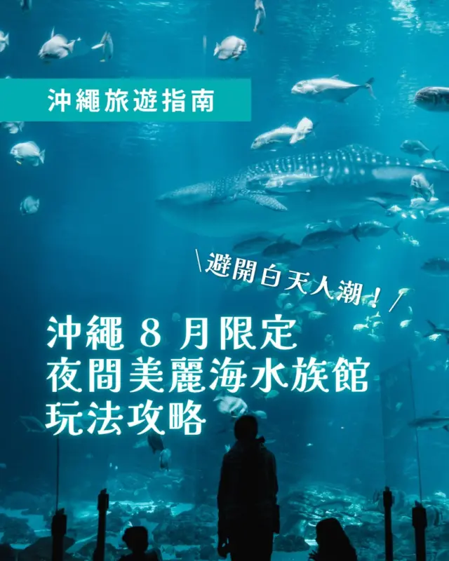 沖繩 8 月夏夜限定 🌙 夜間美麗海水族館攻略 🌊

沖繩美麗海水族館居然可以這樣玩！避開白天爆滿的人潮，還能享受夢幻夜間氛圍 ✨

位於廣闊「海洋博公園」內，這座沖繩最具代表性的水族館，每年 8 月都會特別推出「夜間水族館」企劃，營業時間延長至 21:00（20:00 最後入館）。當日落後自然光完全消逝，巨型水槽只留深邃湛藍的光影，看著龐大鯨鯊在黑暗中靜靜游過，藍色海洋氛圍感直接拉滿 💙

整理這份夜間水族館完全攻略，趕快儲存起來：

❶ 門票省錢小撇步 
只要預先在【網路預購】傍晚折扣票，17:00 後入場大人只要 ¥1,730（原價 ¥2,180），特別注意現場售票處是沒有販售這張折扣票的喔！

❷ 關鍵時間提醒 
✹「黑潮探險」夜間僅營運至 18:45，建議入館後優先前往！ 
✹ 戶外設施（海龜館、海牛館、海豚劇場）營運至 19:00，記得安排在傍晚先行走訪。 
✹ 8 月沖繩夕陽與晚霞約在 18:50–19:30 之間，傍晚很適合先到翡翠海灘漫步賞落日！

❸ 完美半日遊路線建議 
16:00 抵達 P7 停車場 ➔ 16:30 戶外海豚秀與海龜/海牛館 ➔ 18:00 入館直奔黑潮探險 ➔ 18:50 戶外漫步賞夕陽晚霞 ➔ 19:30 靜心感受夜間湛藍水槽與鯨鯊悠游。

❹ 停車與晚餐規劃 
自駕請直接導航【P7 停車場】，離水族館最近又免費！閉館後推薦開車約 20–30 分鐘前往名護市區，那裡有非常多營業至深夜的燒肉店與居酒屋！

今年 8 月有安排去沖繩玩的朋友，不妨試試看夜間水族館路線吧！🌙

───

#沖繩自由行 #沖繩美麗海水族館 #夜間水族館 #沖繩景點 #沖繩旅遊